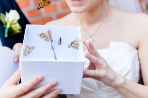 Hochzeitsfotografie Kassel Inka Englisch Fotografie Hochzeit