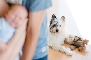 Babyshooting Newbornshooting Homestory Kassel