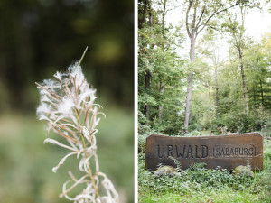 Hochzeit Sababurg Urwald