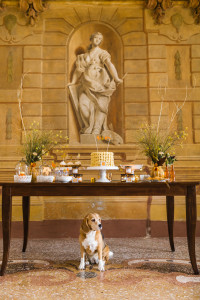 Candi Workshop Verona
