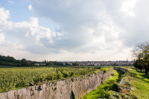 Candi Workshop Verona