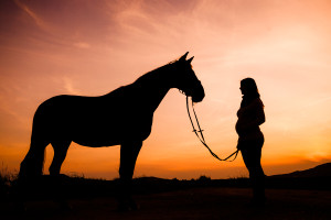 Babybauchshooting Pferd Schwangerschaft Kassel Lifestyle Sonnenuntergang