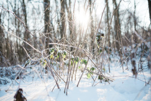 Wintershooting Schnee Pärchenshooting Coupleshooting Engagementshooting Kassel