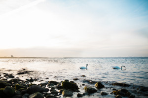 Verlobungsshooting am Brodtener Steilufer Engagementshooting Verlobungsshooting Strand Ostsee Timmendorf Brodtener Steilufer 2016 Inka Englisch Photography Kassel Hochzeitsfotograf Proposal Sonnenuntergang