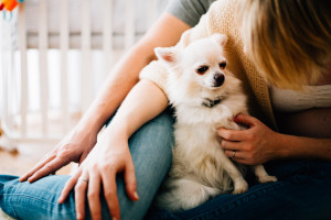 Babybauchshoot Babybauch Schwangerschaft Schwangerschaftsshooting Fotograf Kassel Homestory zuhause Geschwister Storytelling Lifestyle muckelige Babybauch-Homestory zu fünft