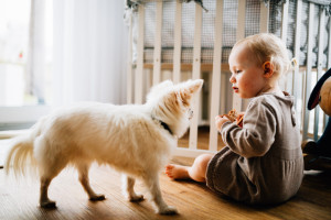 Babyshooting Kassel Babyfotograf Neugeborenenfotos Familienshoot Homestory Babyhomestory indoor zuhause Inka Englisch Photography Babyhomestory mit großer Schwester an der Seite