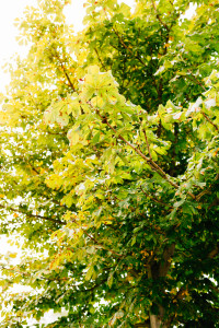 Von Norwegen nach Kassel, um zu heiraten Hochzeitsfotograf Kassel Orangerie Inka Englisch Photography Hochzeitsreportage Aue Wedding Photographer Lifestyle Storytelling Getting Ready