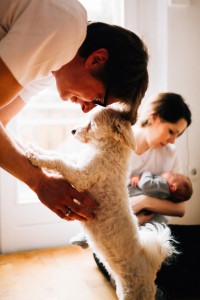 Die ersten Tage Babykuscheln Babyfotograf Kassel Neugeborenenshooting Babyshooting Neugeborenenfoto Homestory Fotograf Kassel Hann. Münden Göttingen Familienshooting zuhause Hund