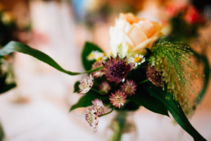Hochzeitsfotograf Hochzeit Fotograf Hann. Münden Kassel Letzter Heller Inka Englisch 2018 Reportage Feier Deko