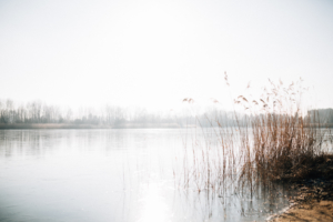 Wintergeschichte am See Homestory Familienshoot outdoor Kassel Berlin Inka Englisch Fotograf Kind Hund See Winter