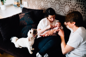 Babyshooting Kassel Baunatal Nordhessen Schwalm-Eder-Kreis Fotograf Baby Neugeborenes Homestory zuhause Newborn Fotograf 2020 Hund