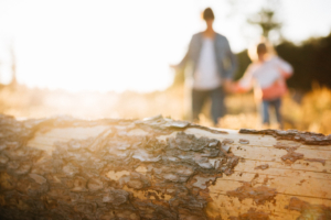 Komm mit mir ins Abenteuerland - Familienshoot bei Kassel Familienshooting Kindershooting Kinderfotograf Kassel Inka Englisch Homestory outdoor Sonnenuntergang Fotograf