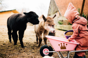 Leben, wovon Kinderwelten träumen Homestory Kassel Familienshooting Kassel Fotograf Kinder Inka Englisch Babyshooting Neugeborenenshooting Newbornshooting Babyfotograf zuhause Alpaka