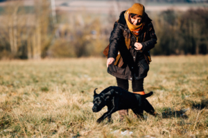 Fotograf Kassel Hundetraining Labrador - Hundeshooting mit Dummy-Training bei Kassel Labrador Retriever Tierlehrerin Reportage Inka Englisch