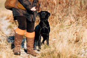 Fotograf Kassel Hundetraining Labrador - Hundeshooting mit Dummy-Training bei Kassel Labrador Retriever Tierlehrerin Reportage Inka Englisch